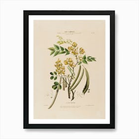 Yellow Flowering Plant Art Print