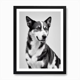 Australian Cattle Dog 2 B&W Pencil Dog Art Print