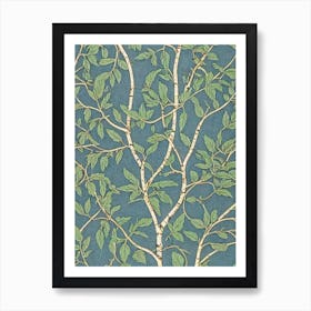 Paper Birch tree Vintage Botanical Art Print