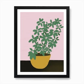 Schefflera Art Print