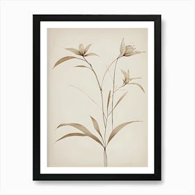 Lily Of The Valley Art Print