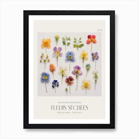 Fleurs Sechees, Dried Flowers Exhibition Poster 20 Art Print