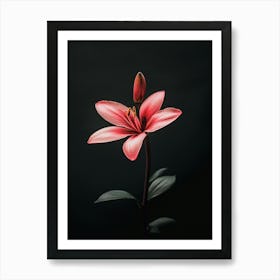 Pink Lily 1 Art Print