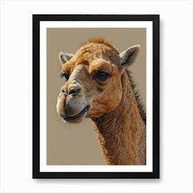 Camel Portrait Art Print