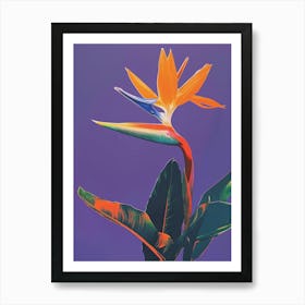 Bird Of Paradise 50 Art Print