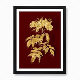 Vintage Musk Rose Botanical in Gold on Red n.0356 Art Print