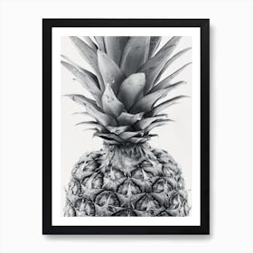 Realistic Pineapple Art Print