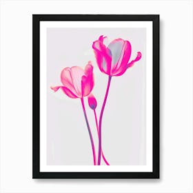 Hot Pink Tulip 2 Art Print