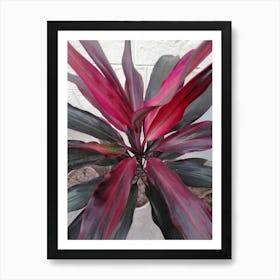 Pink Plant Art Print