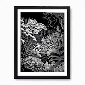 Mount Tomah Botanic Garden, Australia Linocut Black And White Vintage Art Print