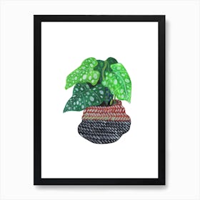 Lungwort Plant Art Print