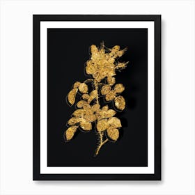 Vintage Four Seasons Rose in Bloom Botanical in Gold on Black n.0143 Art Print