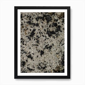 Black And White Granite Art Print