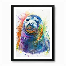 Elephant Seal Colourful Watercolour 1 Art Print
