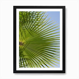 Green palm leaf and blue sky 1 Art Print