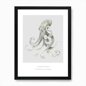 Common Octopus Art Print