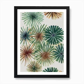 Acropora Cytherea 2 Vintage Graphic Watercolour Poster