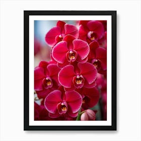 A Vibrant Explosion Of Red Orchids Petals Unfurled In Full Bloom Set Against A Contrasting Soft Fo Art Print