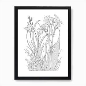 Orris Root Herb William Morris Inspired Line Drawing 2 Art Print