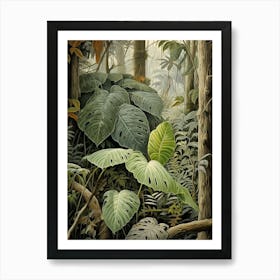 Vintage Jungle Botanical Illustration Monstera 4 Art Print