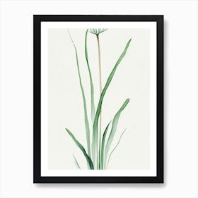 Wild Onion Leaf Minimalist Watercolour 1 Art Print