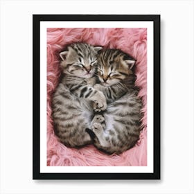 Cute Kittens Art Print