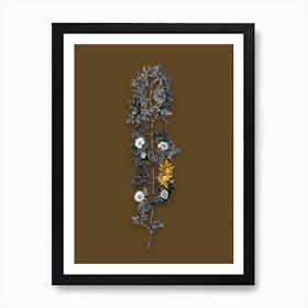 Vintage Cuspidate Rose Black and White Gold Leaf Floral Art on Coffee Brown n.1192 Art Print