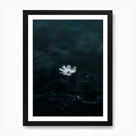 Single Flower In Water 30 Art Print