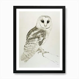 Spectacled Owl Drawing 1 Art Print