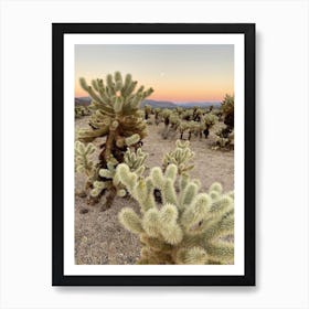 Cholla Cactus Garden at Sunset, Joshua Tree National Park 2 - Vertical Art Print