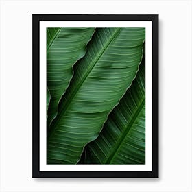 Green Banana Leaf Background Art Print