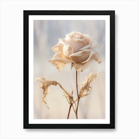 Boho Dried Flowers Rose 6 Art Print