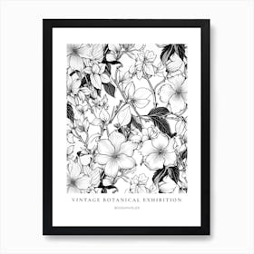 Bougainvillea B&W Vintage Botanical Poster Art Print