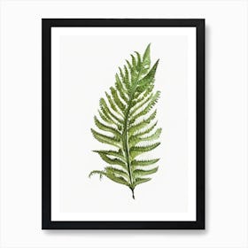 Forked Spleenwort Watercolour Art Print