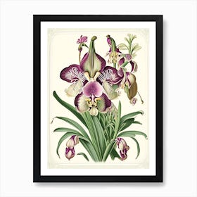 Orchid 1 Floral Botanical Vintage Poster Flower Art Print