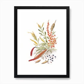 Cat S Claw Spices And Herbs Pencil Illustration 3 Art Print