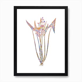 Stained Glass Arrowhead Mosaic Botanical Illustration on White n.0106 Art Print