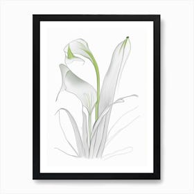 Zantedeschia Floral Quentin Blake Inspired Illustration 3 Flower Art Print