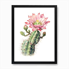 Acanthocalycium Cactus Watercolour Drawing 4 Art Print