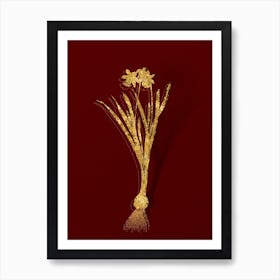 Vintage Lesser Wild Daffodil Botanical in Gold on Red n.0136 Art Print