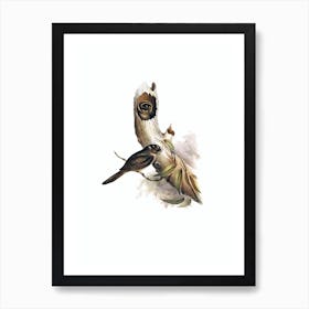 Vintage Owlet Nightjar Bird Illustration on Pure White n.0159 Art Print