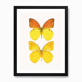 Butterflies VIII Art Print