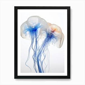 Portuguese Man Of War Jellyfish Watercolour 6 Art Print