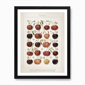 Vintage Meyers 6 Kirschen Art Print