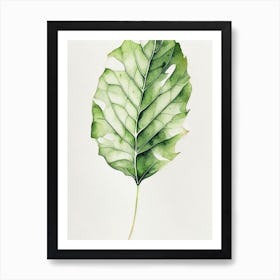 Wild Lettuce Leaf Minimalist Watercolour 5 Art Print