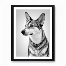 Swedish Vallhund B&W Pencil Dog Art Print