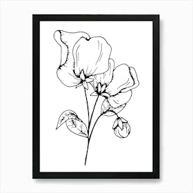 Peony Flower 1 Art Print