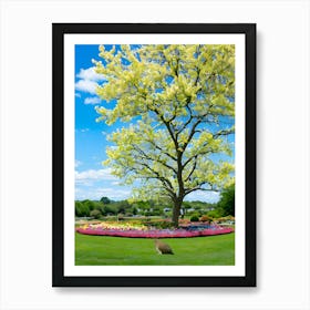 Tulip Tree 1 Art Print