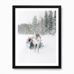 Winter Reindeer Art Print