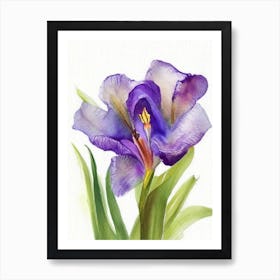 Iris Wildflower Watercolour 1 Art Print